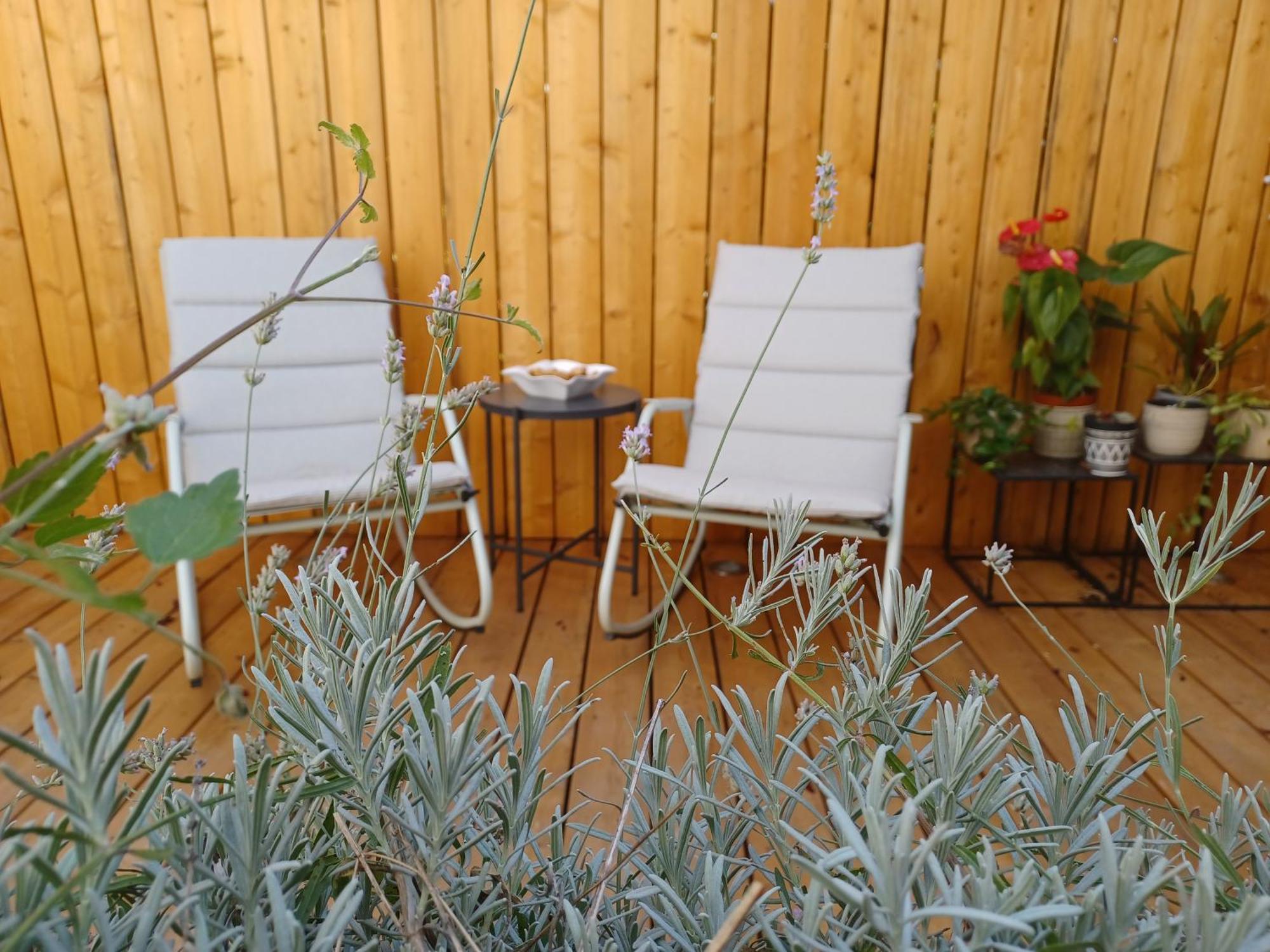 Serenity Indepedent Suite Near To Disneyland & Paris 布西圣乔治 外观 照片